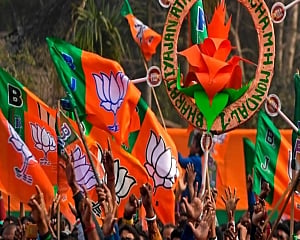 BJP Flags