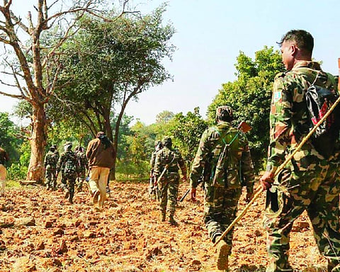 41 Naxalites surrender in Bijapur