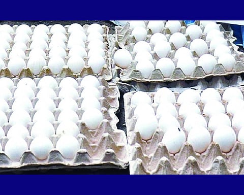 Adulterated eggs hit Kashmir after rotten meat scandal
