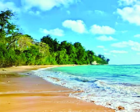 Andaman to open more islands gradually, protect ecosystem