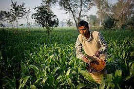 Bihar in numbers: Growth without private investment and the price of development
