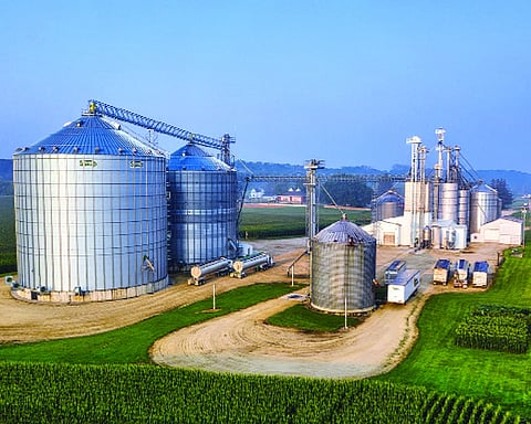 Biofuel and circular economy: The road ahead