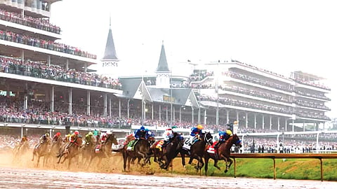 Clubs do not have voting rights in Equestrian Federation of India governance: Delhi HC