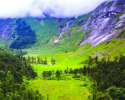 Govt nod for forest diversion in Assam for strategic underground weapon storage facility