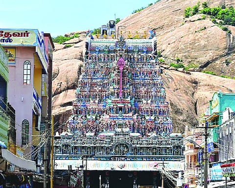 HC declines to put on hold order allowing lighting of oil lamp on TN hill