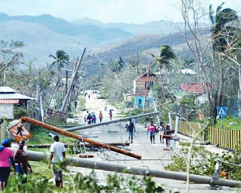 Hurricane Melissa deals heavy blow to Jamaica’s farmers