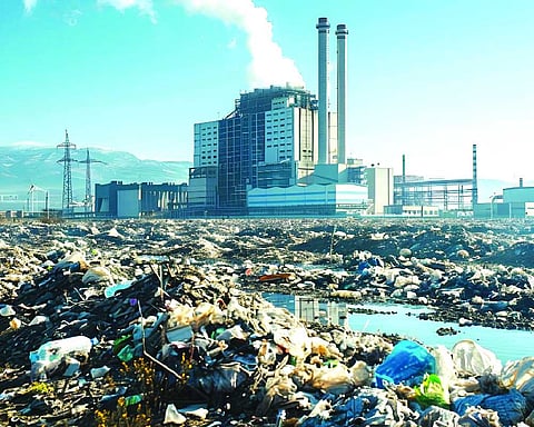 India added 2,362 MW of biomass and 228 MW of waste-to-energy capacity in 10 years