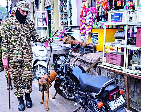 J&K: Terrorists spotted at international border in Kathua, Samba