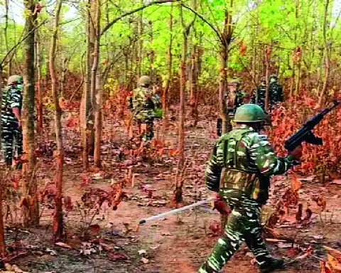Seven hardcore Naxals surrender in Chhattisgarh