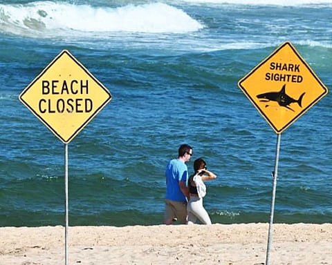 Shark kills woman, wounds another in Australia
