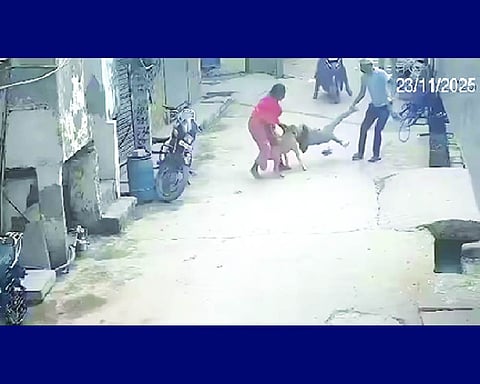 Six-year-old severely injured in dog attack