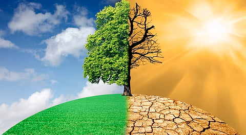 Technological empowerment of Women: The way forward for climate resilience