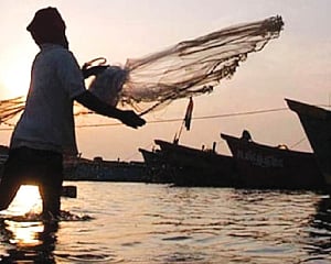 12 Indian fishermen arrested in Sri Lanka