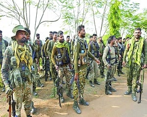 14 Naxals killed in border operation