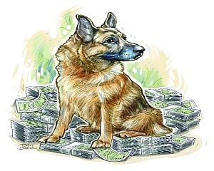 Barking up the wrong strays