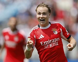 Benfica beats Bayern Munich in scorching heat to win Group C