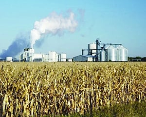 Biofuels for Sustainable and Clean Energy Transition
