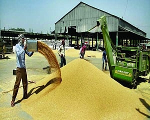 Can suspending commodity derivatives rein in food price