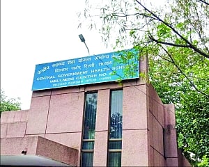 CGHS portal faces glitches, delaying medical supply