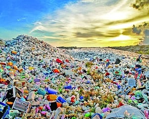 Environment Day: The cost of ecological neglect