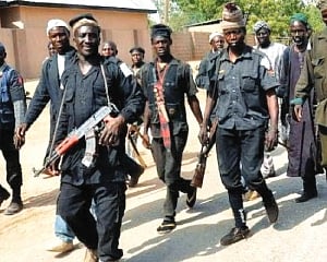 Gunmen kill 12 forest guards in Nigeria’s northcentral region