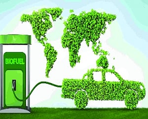How the India-Brazil Biofuel Alliance Could Reshape Global Energy