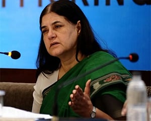 Impractical, financially unviable: Maneka Gandhi slams SC order on stray dogs
