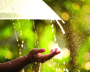 India to see above-normal cumulative rainfall this monsoon, El Nino conditions unlikely: IMD
