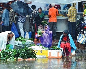 Maharashtra rains: CM reviews relief efforts