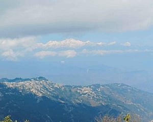 Misty Hills of Darjeeling