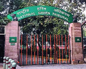 NGT issues notice to Haryana for narrowing definition of forest