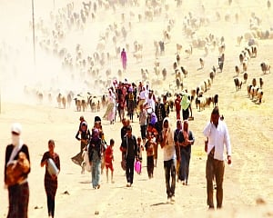 Recognising Climate Refugees on World Refugee Day