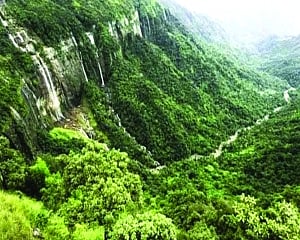 Redefining ‘forest’ : A nuanced approach for conservation