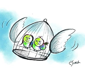 Reflections on the act of living together