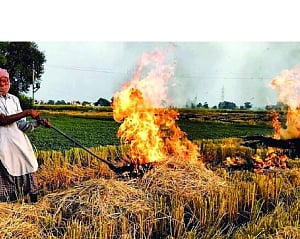 SC talks tough on stubble burning issue