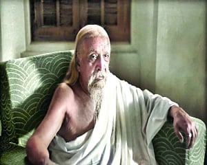 Sri Aurobindo’s ideals in the  age of Artificial Intelligence