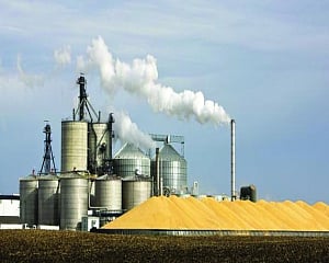 Strengthening Bioenergy Synergies