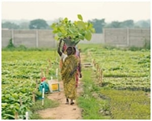 Tackling Climate Change Through Community-Led Conservation