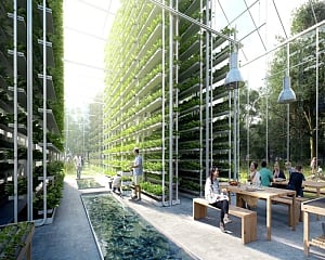 The Promise and Challenge of  Vertical Farming in India