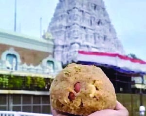 Tirupati laddu row: SC stays AP High Court order faulting CBI over probe