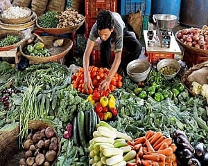 Wholesale price inflation eases to 2.31pc in Jan