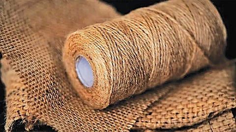 10,000 quintals of raw jute seized in anti-hoarding drive in Bengal; industry flags supply woes