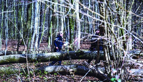 3 killed as high winds topple tree at Easter egg hunt in Germany