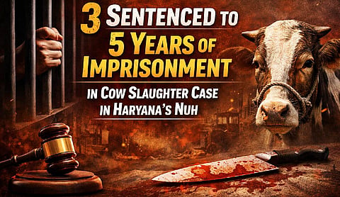 3 sentenced to 5 years of imprisonment in cow slaughter case in Haryana’s Nuh