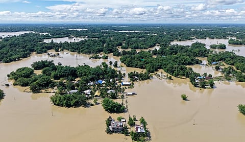41 dead, over 6.5 lakh affected, Assam flood situation remains critical