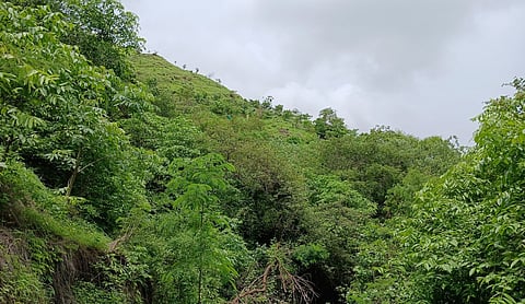 Representational image: Views from Sameer Hill at IIT Bombay in Mumbai. File photo (2024). Photo: Shishirdasika / Wikimedia Commons (CC BY-SA 4.0).