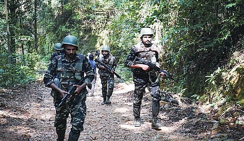 532 Naxalites killed in Chhattisgarh since January 2024: Deputy CM
