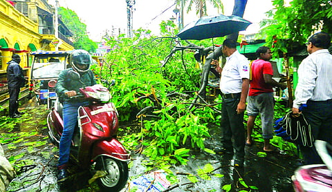 7 killed in lightning strikes across Bihar