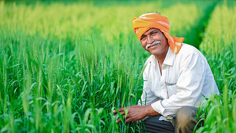 Agriculture: From traditional farming to global opportunities