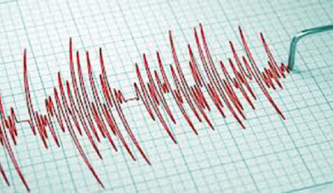 Amreli shaken by repeated tremors; 14 quakes felt in 30 hours